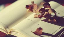 经典语录：人生不过如此，且行且珍惜 自己永远是自己的主角