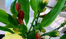 送给女孩的十条人生箴言