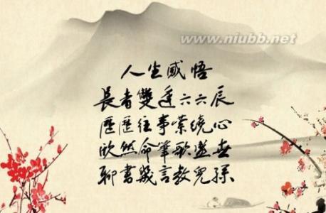 300个字