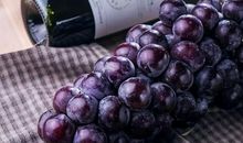 关于不熟的葡萄的歇后语