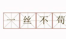 一丝不苟怎么造句