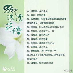 爱的话