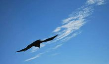 致自己，这段话永不过期