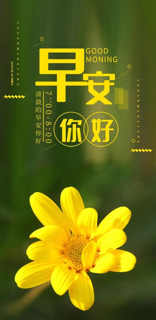 写漂亮的句子