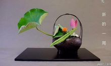 如何度过二十多岁这段又穷又迷茫的岁月？