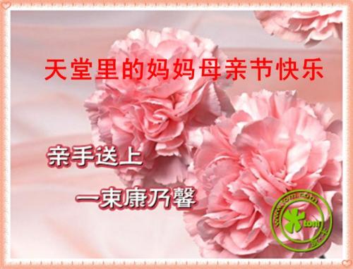 祝福准妈妈