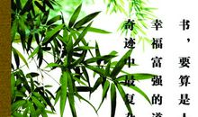 关于智慧的名人名言