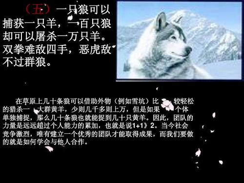 狼图腾读1000字