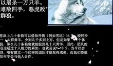 狼图腾读后感1000字