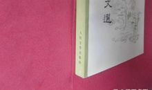 吴伯箫：黑红点