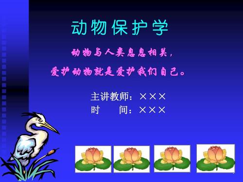 动物保护口号