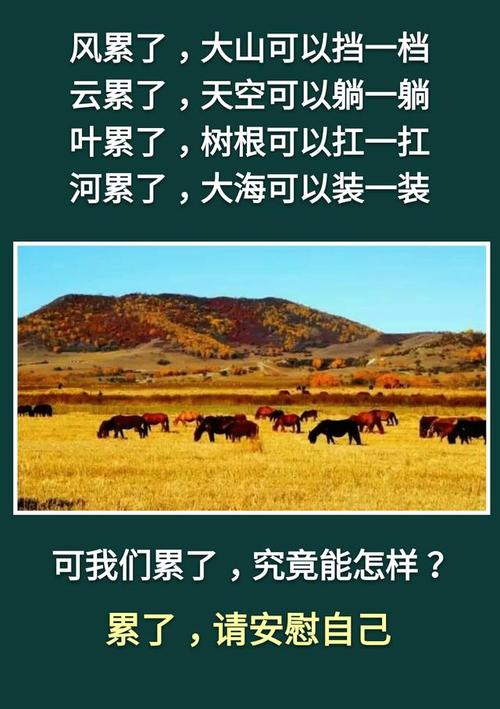 上学是生活的“门票”，不要总是谈论苦难