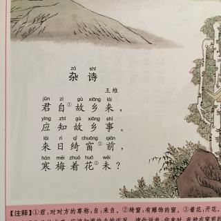 王伟：杂诗