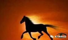 海子：祖国，或以梦为马