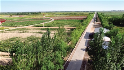 宽阔的道路