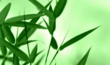 海子：明天醒来我会在哪一只鞋子里