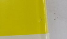 海子：十四行：王冠