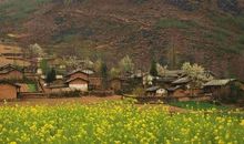 描写故乡变化的好段