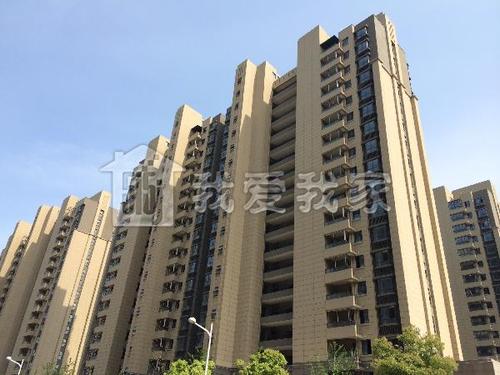 罗兰：春晓