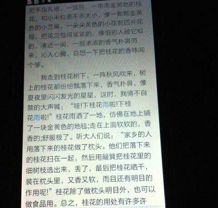 不错的句子和段落描述桂花