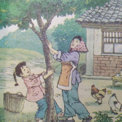 齐俊：桂花雨