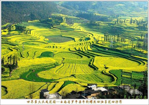 旅行