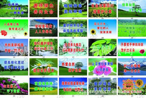 照顾公共设施