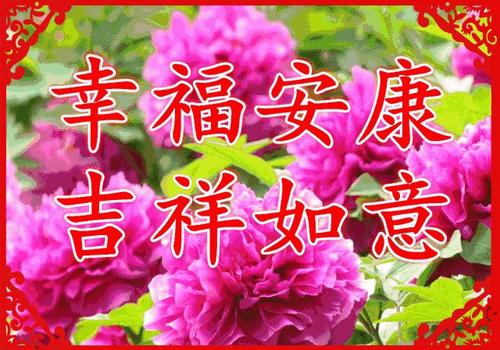祝福女人的话