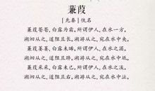 描写高温天气的诗句