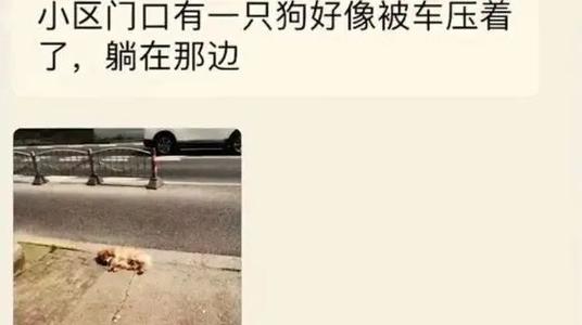 句子中的句子