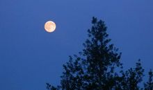 描写月光的一段话