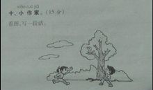 我想对鸟儿说的话