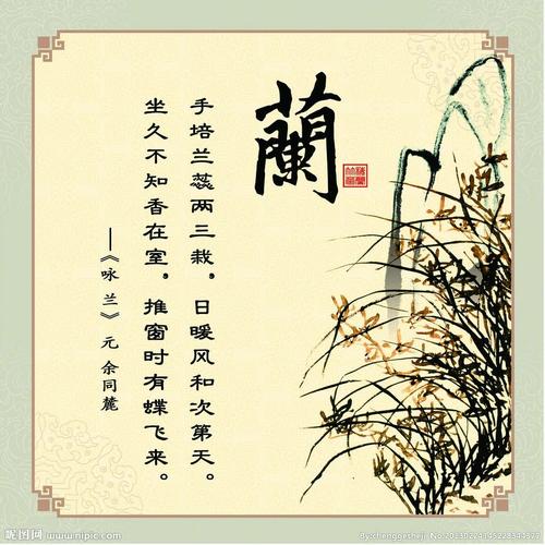 宋琦：落花和随宿变红，每一次都疼