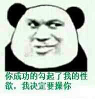 您的成功决定