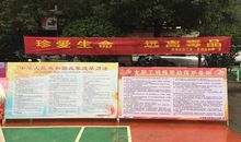 法律知识宣传标语