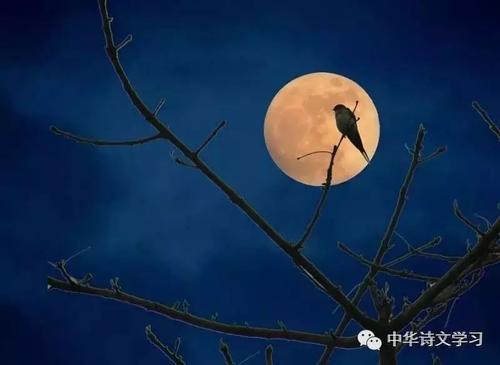 韩玲：很冷