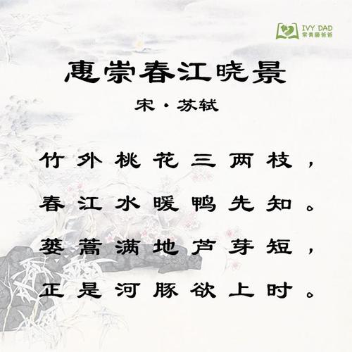 回崇的春江晚古诗