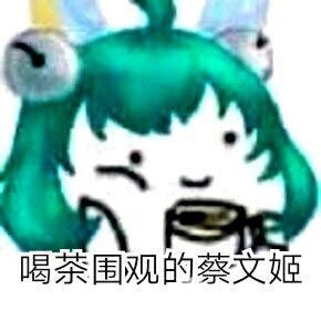 蔡文吉的台词