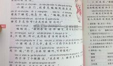 “人才”补习班作文