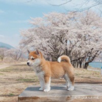 不好意思