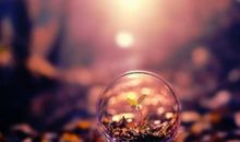 与其抱怨黑暗，不如提灯前行