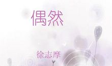 徐志摩：偶然及赏析