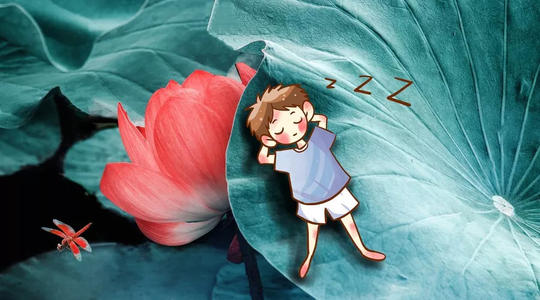 给小学生的问题