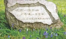 徐志摩：我不知道风