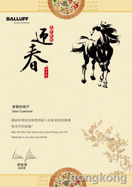 新年妇女祝愿