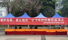 保护鸟类的宣传语