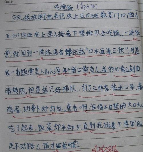 字符片段描述100个单词