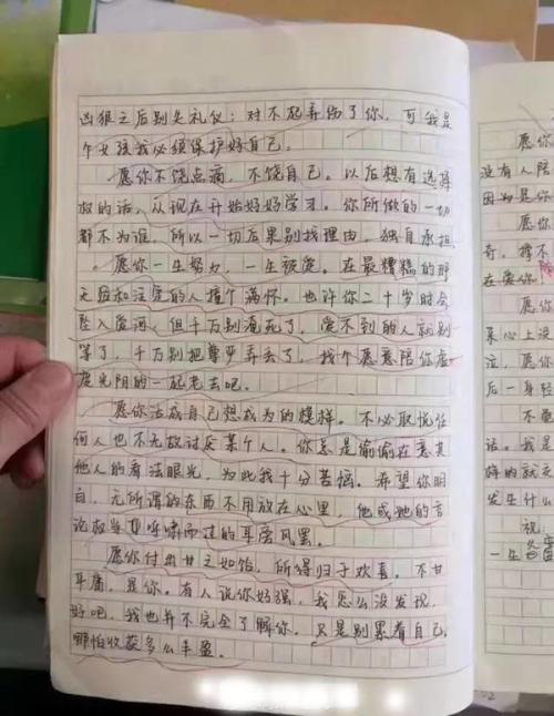 第四高中二年级一个女孩给未来自我的信：愿你半生半生，回到少年时代
