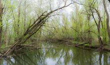 描写春天小河的好段