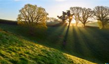 描写清晨阳光的好段